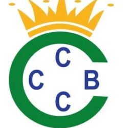 CITY CROWN LOGO